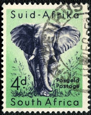 Africa do Sul - 1954 - Elefante Africano - 4D (Bilingue)