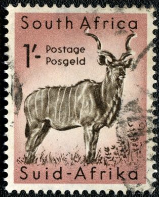 Africa do Sul - 1954 - Grande Kudu - 1S (Bilingue)