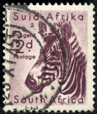 Africa do Sul - 1954 - Zebra da Montanha - 2D (Bilingue)