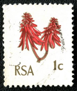 Africa do Sul - 1961 - Flor da Arvore-coral - 1C (Bilingue)