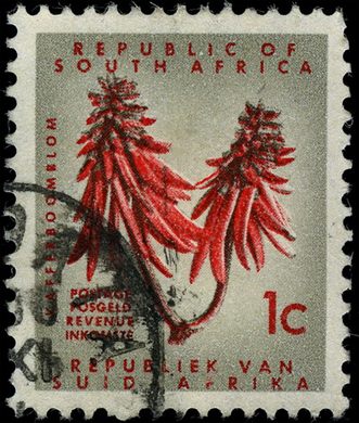 Africa do Sul - 1961 - Flor da Arvore-coral - 1C (Bilingue)