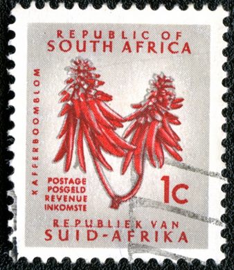 Africa do Sul - 1961 - Flor da Arvore-coral - 1C (Bilingue)