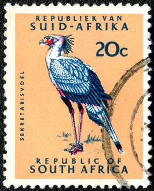 Africa do Sul - 1961 - Passaro-secretario - 20C (Bilingue)