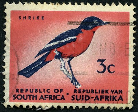 Africa do Sul - 1961 - Picanco - 3C (Bilingue)