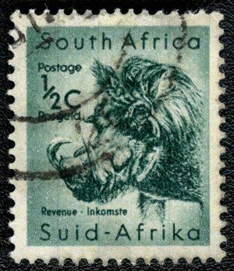 Africa do Sul - 1961 - Facocero - 0.5C (Bilingue)