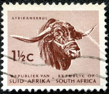 Africa do Sul - 1961 - Touro Africander - 1.5C (Bilingue)