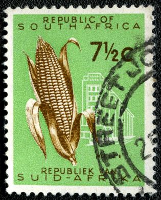 Africa do Sul - 1961 - Milho - 7.5C (Bilingue)
