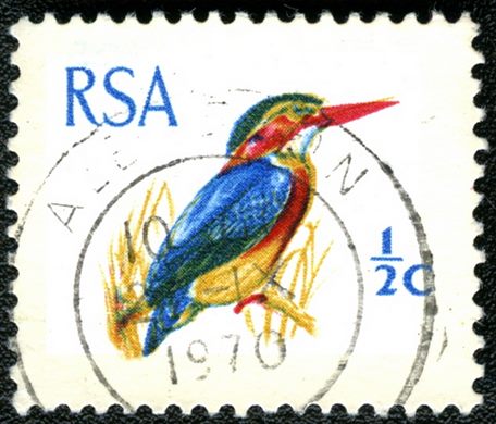 Africa do Sul - 1970 - Aves - Pica peixe anidro Ispidina picta - 0.5C