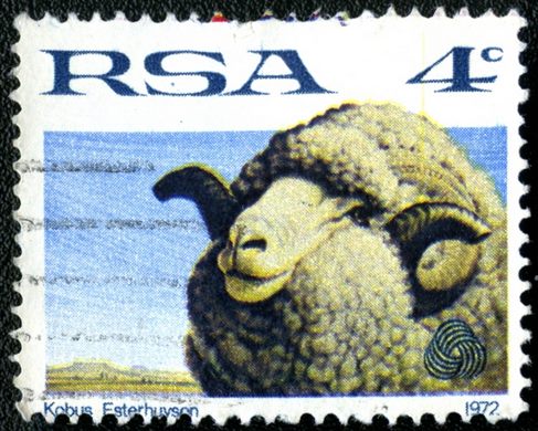 Africa do Sul - 1972 - Industria Ovina e da La - 4C