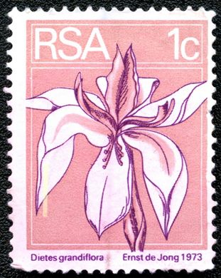 Africa do Sul - 1974 - Flora - Dietes grandiflora - 1C
