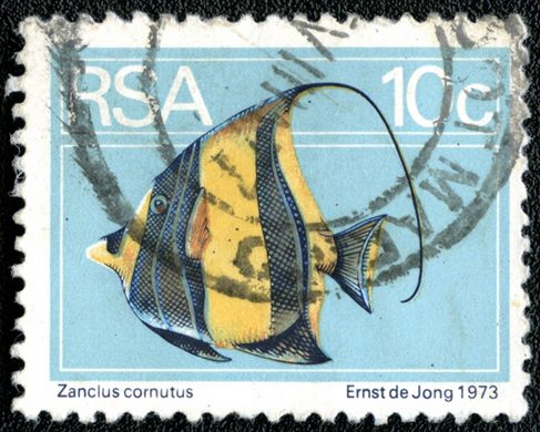 Africa do Sul - 1974 - Fauna Marinha - Zanclus cornutus - 10C