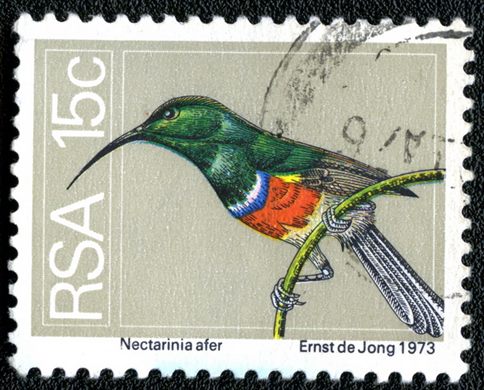 Africa do Sul - 1974 - Aves - Nectarinia afer - 15C