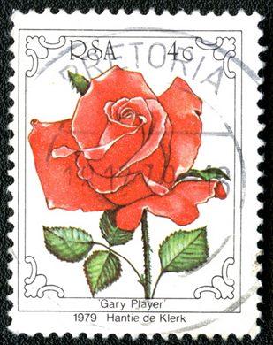 Africa do Sul - 1979 - Rosafari 1979 Rosa Gary Player - 4C