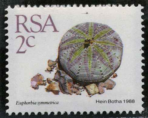 Africa do Sul - 1988 - Euphorbia symmetrica - 2C