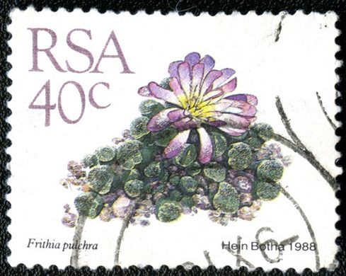 Africa do Sul - 1988 - Frithia pulchra - 40C