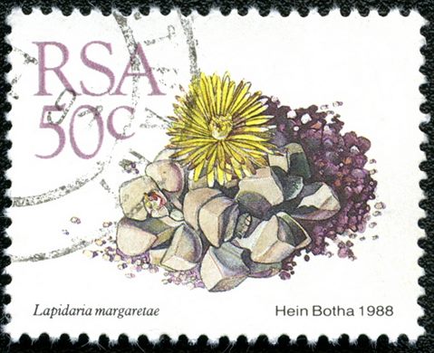 Africa do Sul - 1988 - Lapidaria margaretae - 50C