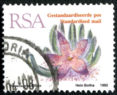 Africa do Sul - 1993 - Stapelia grandiflora - Correio Normalizado