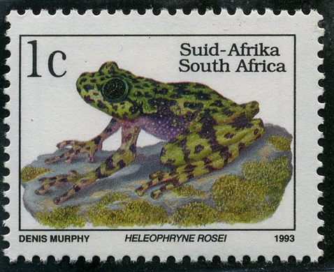 Africa do Sul - 1993 - Ra fantasma de Rose - 1C
