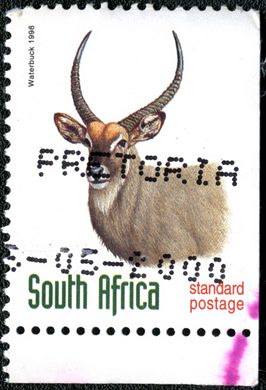 Africa do Sul - 1998 - Cobo-de-agua - Correio Normalizado