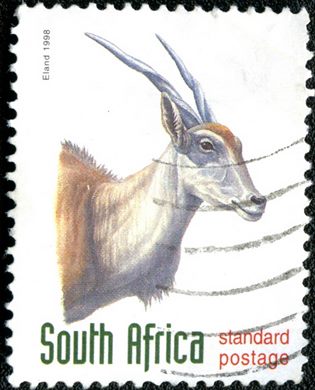 Africa do Sul - 1998 - Elande - Correio Normalizado