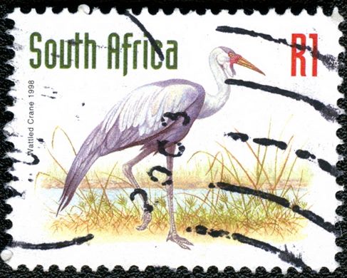 Africa do Sul - 1998 - Grou-carunculado - 1R