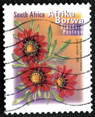 Africa do Sul - 2000 - Gazania krebsiana - Correio Normalizado