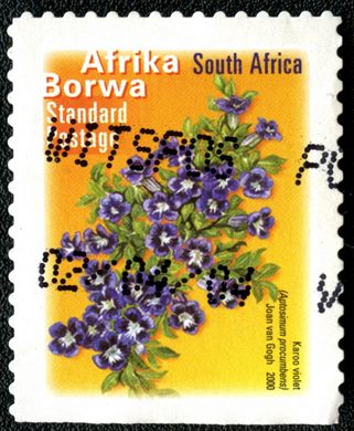 Africa do Sul - 2000 - Aptosimum procumbens - Correio Normalizado