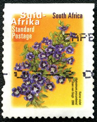 Africa do Sul - 2000 - Aptosimum procumbens - Correio Normalizado