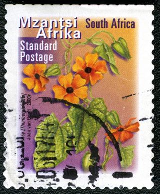 Africa do Sul - 2000 - Thunbergia alata - Correio Normalizado