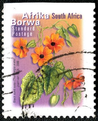 Africa do Sul - 2000 - Thunbergia alata - Correio Normalizado
