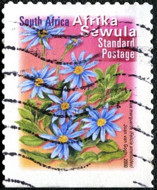 Africa do Sul - 2000 - Felicia amelloides - Correio Normalizado