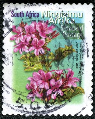 Africa do Sul - 2000 - Pelargonium cucullatum - Correio Normalizado
