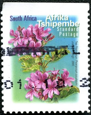 Africa do Sul - 2000 - Pelargonium cucullatum - Correio Normalizado
