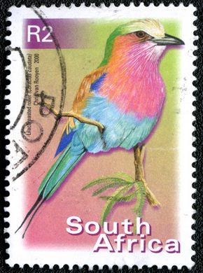Africa do Sul - 2000 - Rolieiro-de-peito-lilas - 2R