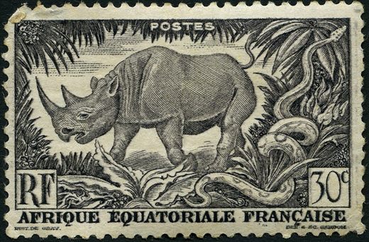 Africa Equatorial Francesa (Colonia) - 1947 - Rinoceronte Negro e Piton - 30C