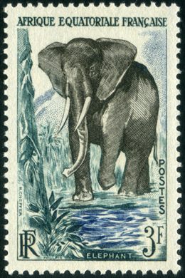 Africa Equatorial Francesa (Colonia) - 1947 - Elefante Africano da Floresta - 3F