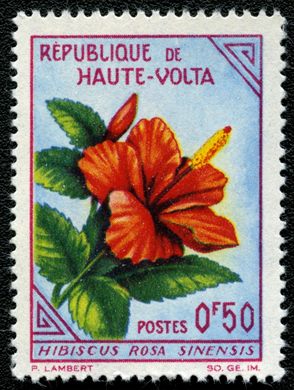Alto Volta - 1963 - Flores Hibiscus Rosa Sinensis - 0F50