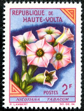 Alto Volta - 1963 - Flores Nicotiana Tabacum - 2F