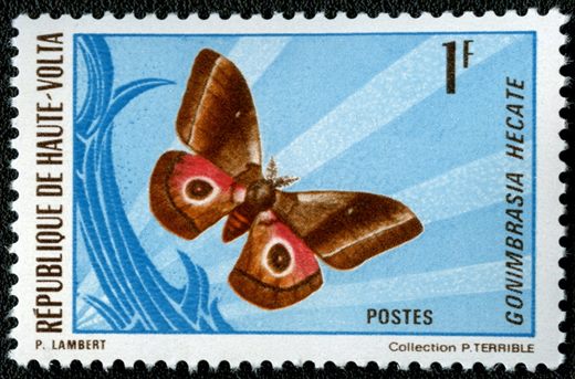 Alto Volta - 1966 - Borboletas Gonimbrasia Hecate - 1F