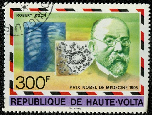 Alto Volta - 1977 - Premio Nobel - 300F