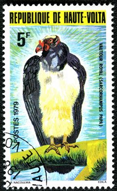 Alto Volta - 1979 - Fauna Aves - 5F