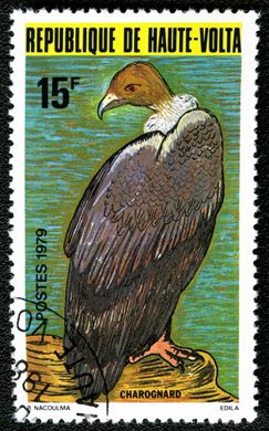 Alto Volta - 1979 - Fauna Aves - 15F
