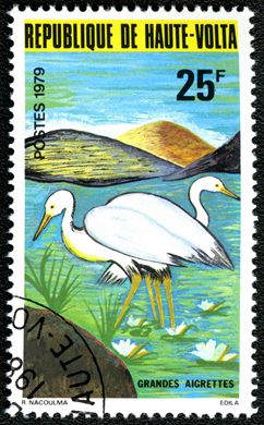 Alto Volta - 1979 - Fauna Aves - 25F
