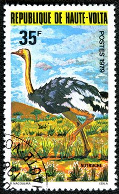 Alto Volta - 1979 - Fauna Aves - 35F
