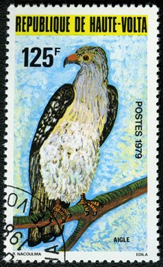 Alto Volta - 1979 - Fauna Aves - 125F