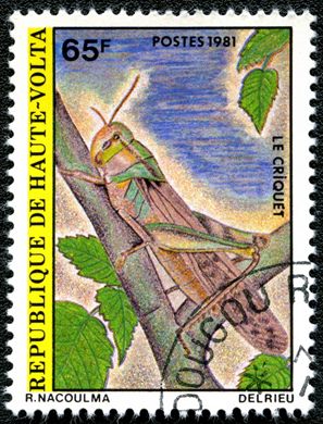Alto Volta - 1981 - Insetos - 65F