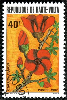 Alto Volta - 1982 - Flora - 40F