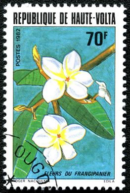 Alto Volta - 1982 - Flora - 70F