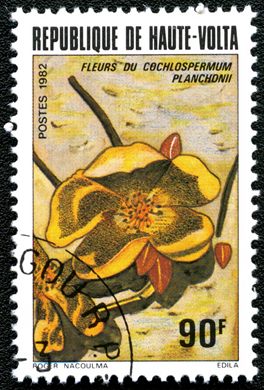 Alto Volta - 1982 - Flora - 90F