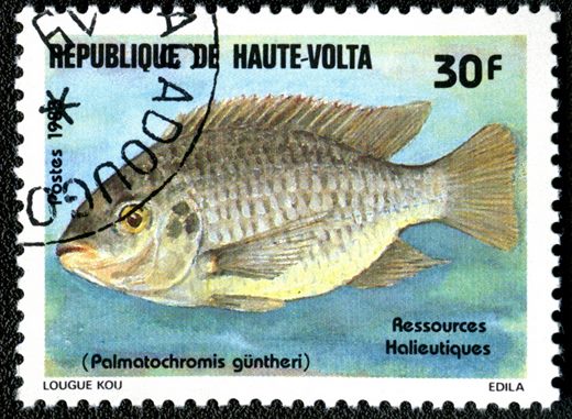 Alto Volta - 1983 - Recursos Halieuticos - 30F